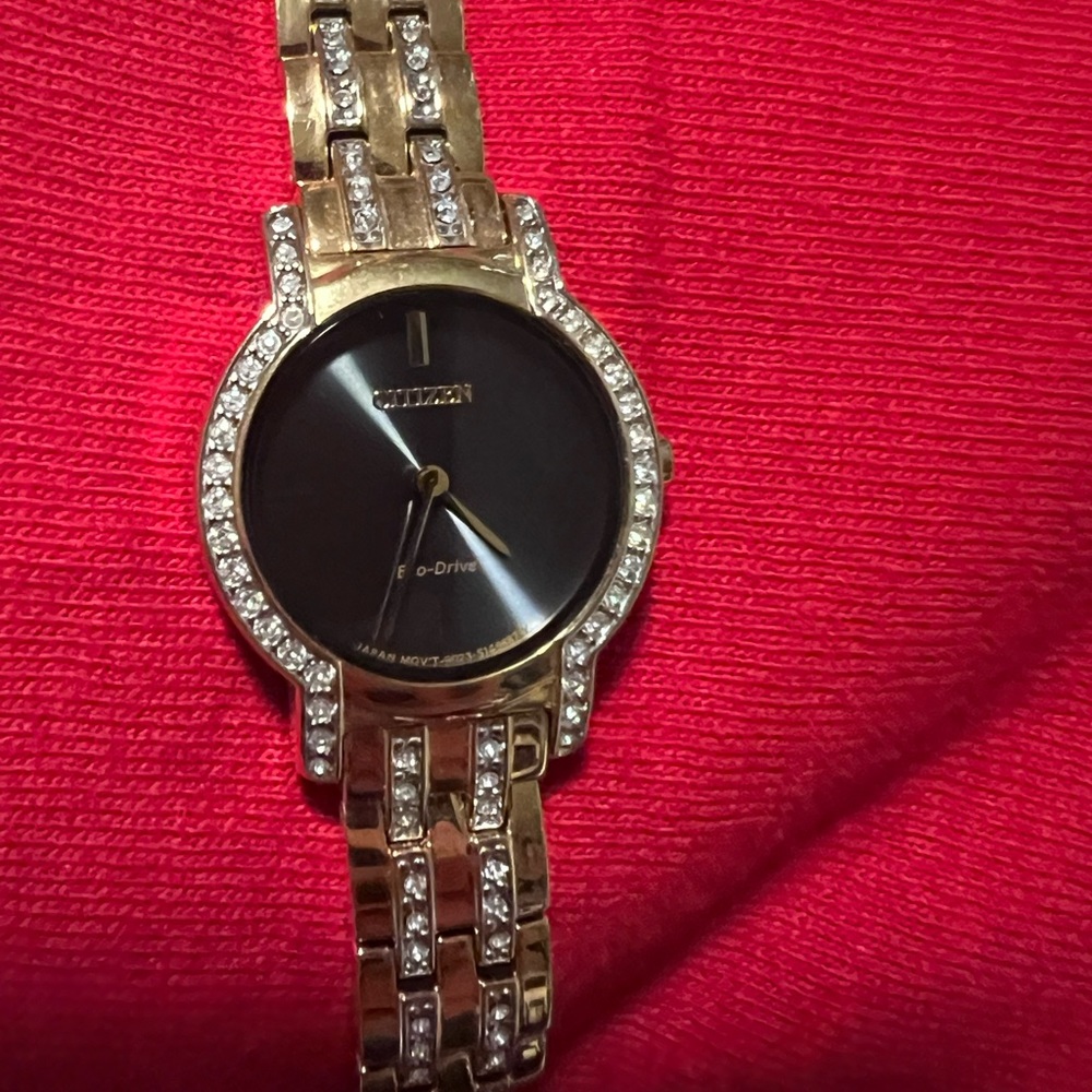 Brand new Citizen watch.